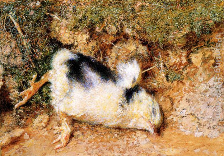 William Holman Hunt John Ruskin's dead chick